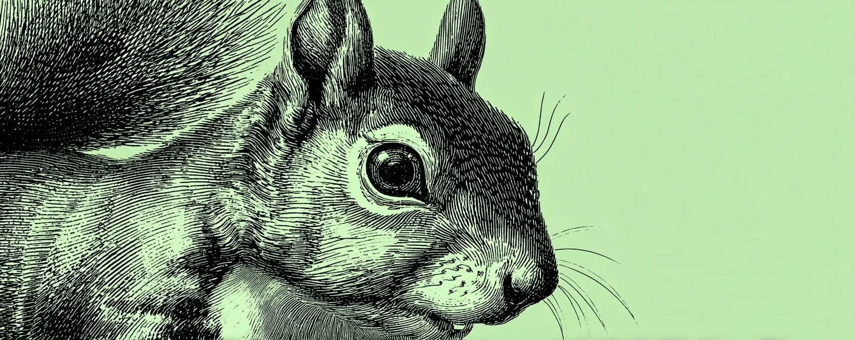 My List of Why I Love Lists