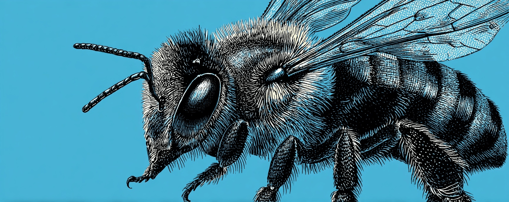 Building Tooling for Engineering Teams