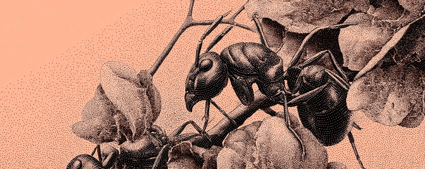 AI Agentic Workflows vs AI Agents